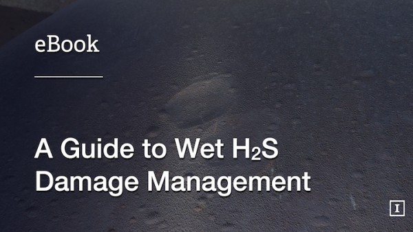 管理指导湿H2S损害
